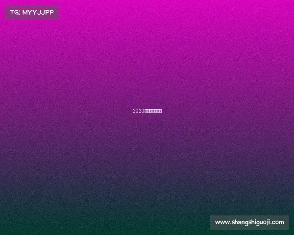 2020年国内赛车比赛